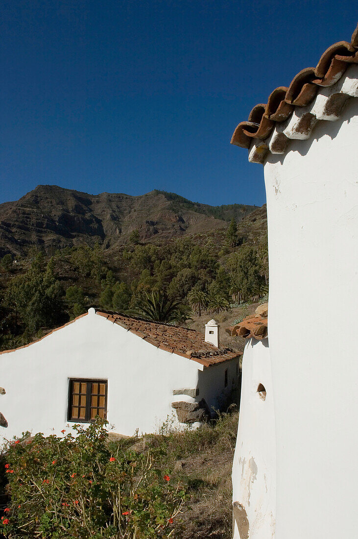 Spanien,Kanarische Inseln,Insel La Gomera,Dorf Benchijigua im Integral-Naturschutzgebiet,Santiago-Schlucht