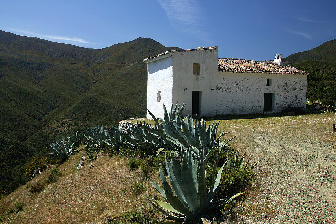 Abandoned House,Sierra De Las Nieves Natural Park,Andalucia,Spain