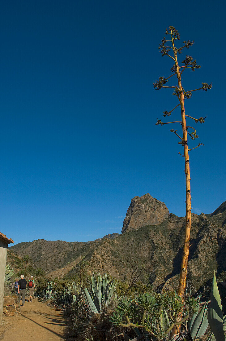 Spanien, Kanarische Inseln, Vallehermoso Weg mit Roque Cano im Hintergrund, Insel La Gomera