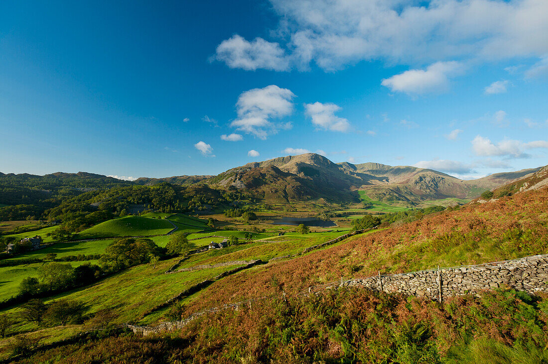 England,Cumbria,Landscape with Tilberthwaite Fells,Lake District National Park