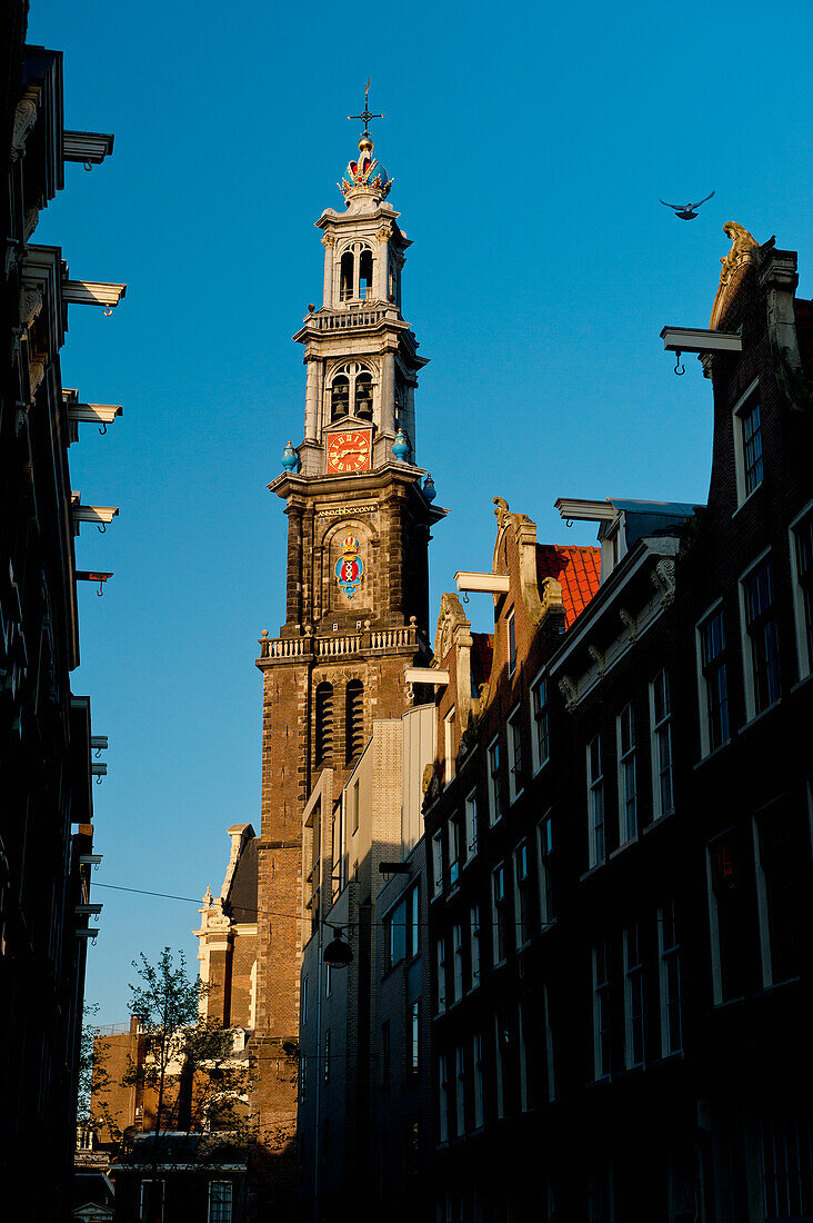 Holland,Blick auf traditionelle Giebelhäuser und die Oude Lutherse Kerk in der Abenddämmerung,Amsterdam