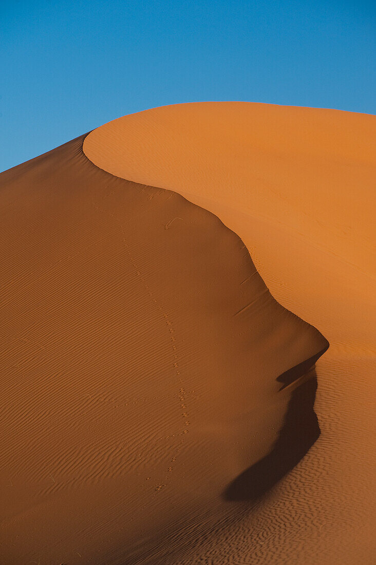 Marokko,Sanddüne bei Merzouga in der Wüste Sahara,Erg Chebbi Gebiet