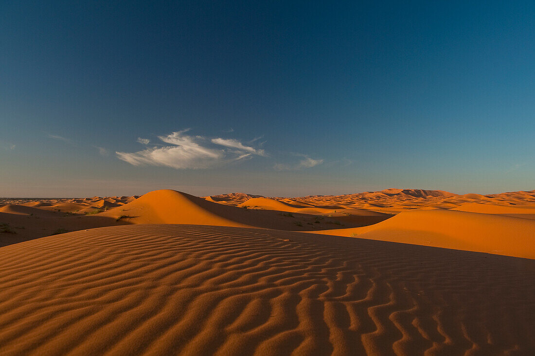 Marokko,Sanddüne in der Abenddämmerung bei Merzouga in der Wüste Sahara,Erg Chebbi-Gebiet