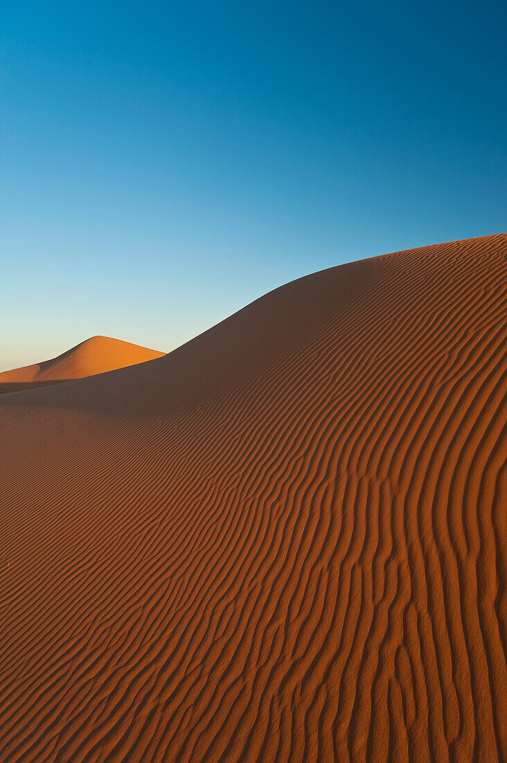 Morocco,Sand dune at dawn near Merzouga in Sahara Desert,Erg Chebbi area