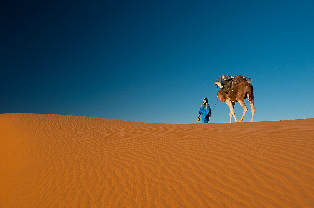 Morocco,Berber leading camel across sand dune near Merzouga in Sahara Desert,Erg Chebbi area