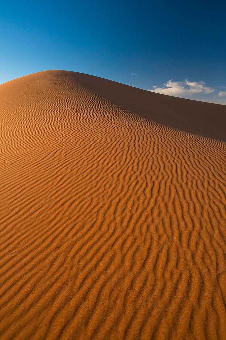 Marokko,Detail einer Sanddüne im Erg Chebbi-Gebiet, Sahara-Wüste bei Merzouga