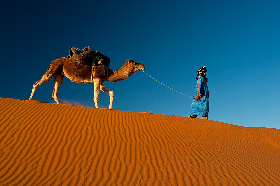 Morocco,Berber 'Blue man' leading camel across sand dunes at dusk in Erg Chebbi area,Sahara Desert near Merzouga