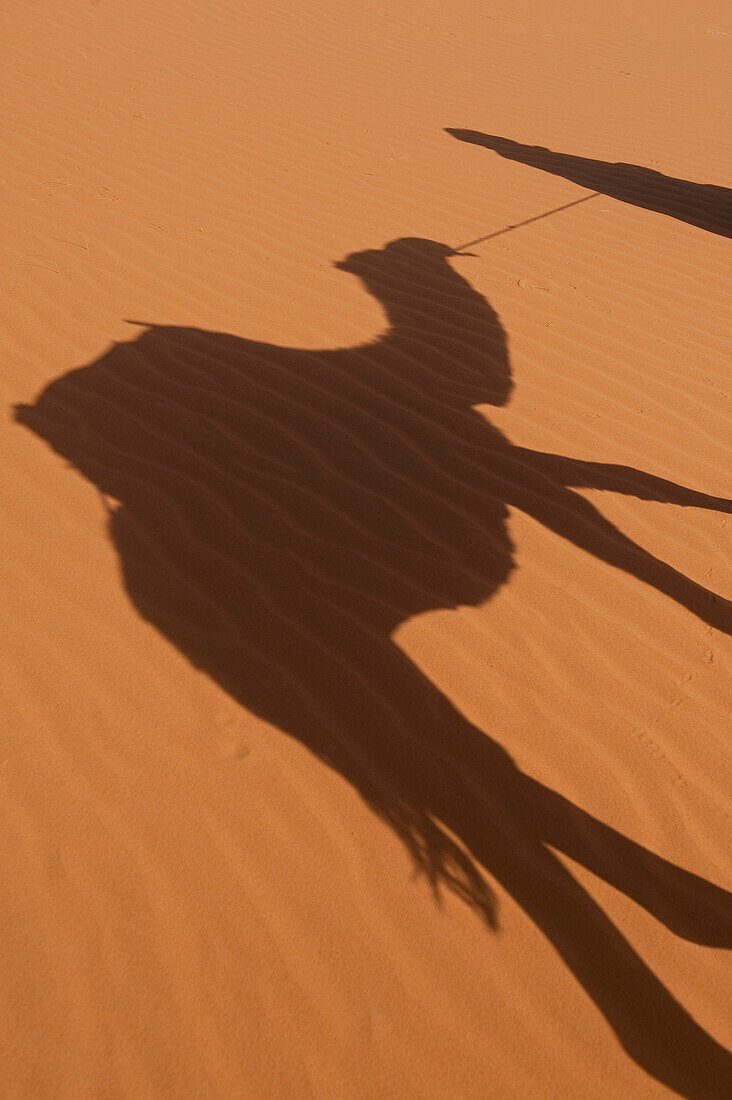 Morocco,Erg Chebbi area,Sahara Desert near Merzouga,Shadow of Berber 'Blue man' leading camel across sand dunes
