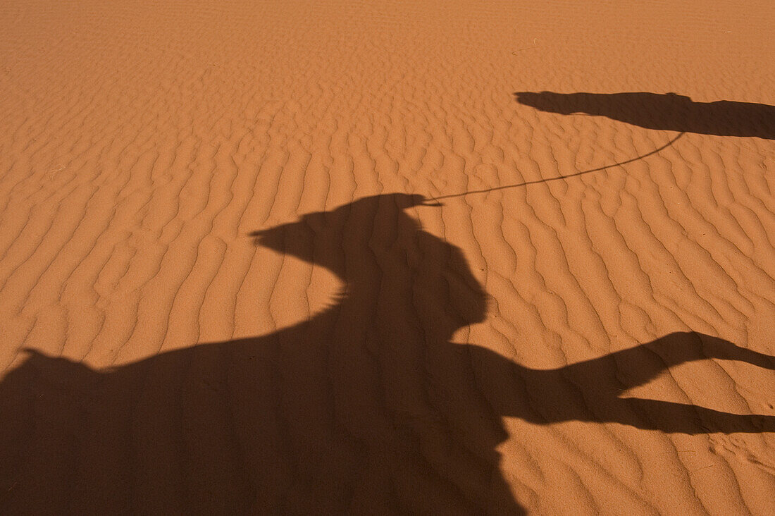 Morocco,Erg Chebbi area,Sahara Desert near Merzouga,Shadow of Berber 'Blue man' leading camel across sand dunes