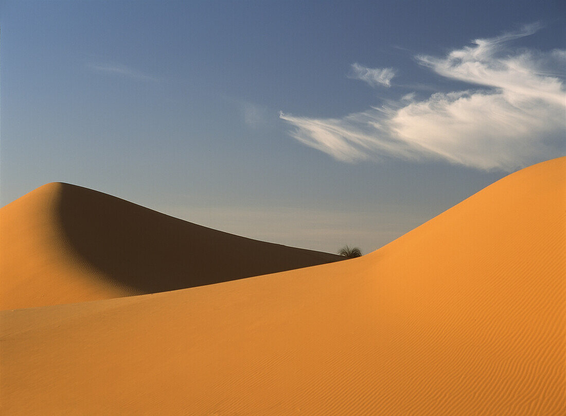 Marokko,Sanddünen und Grasbüschel in der Abenddämmerung im Erg Chebbi-Gebiet, Sahara-Wüste bei Merzouga