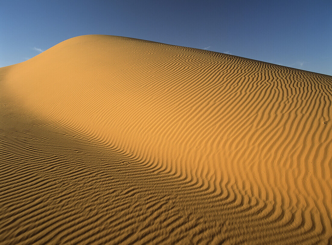 Marokko,Detail einer Sanddüne im Erg Chebbi-Gebiet, Sahara-Wüste bei Merzouga