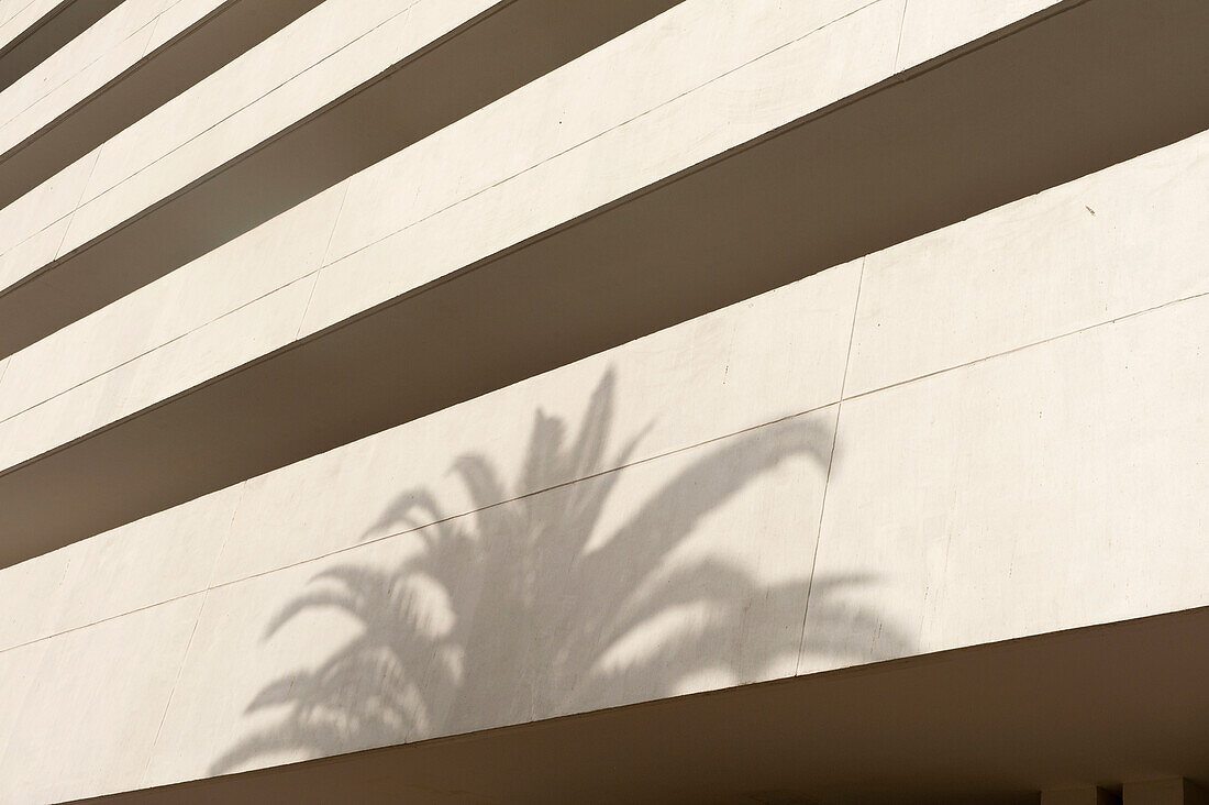 Marokko,Schatten einer Palme auf einem Bürogebäude aus weißem Beton,Casablanca