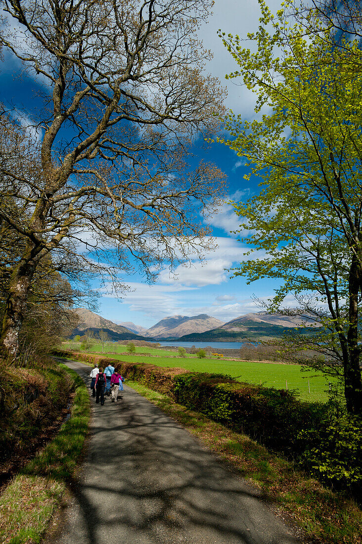 UK,Schottland,Gruppe von Wanderern auf kleinem Feldweg zum Loch Creran, Argyll und Bute