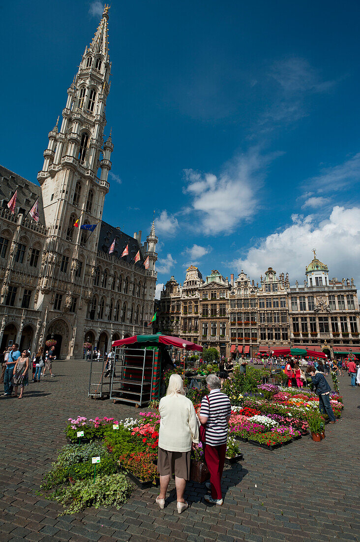 Belgien,Frauen betrachten Blumenstände auf dem Grand Place, Brüssel