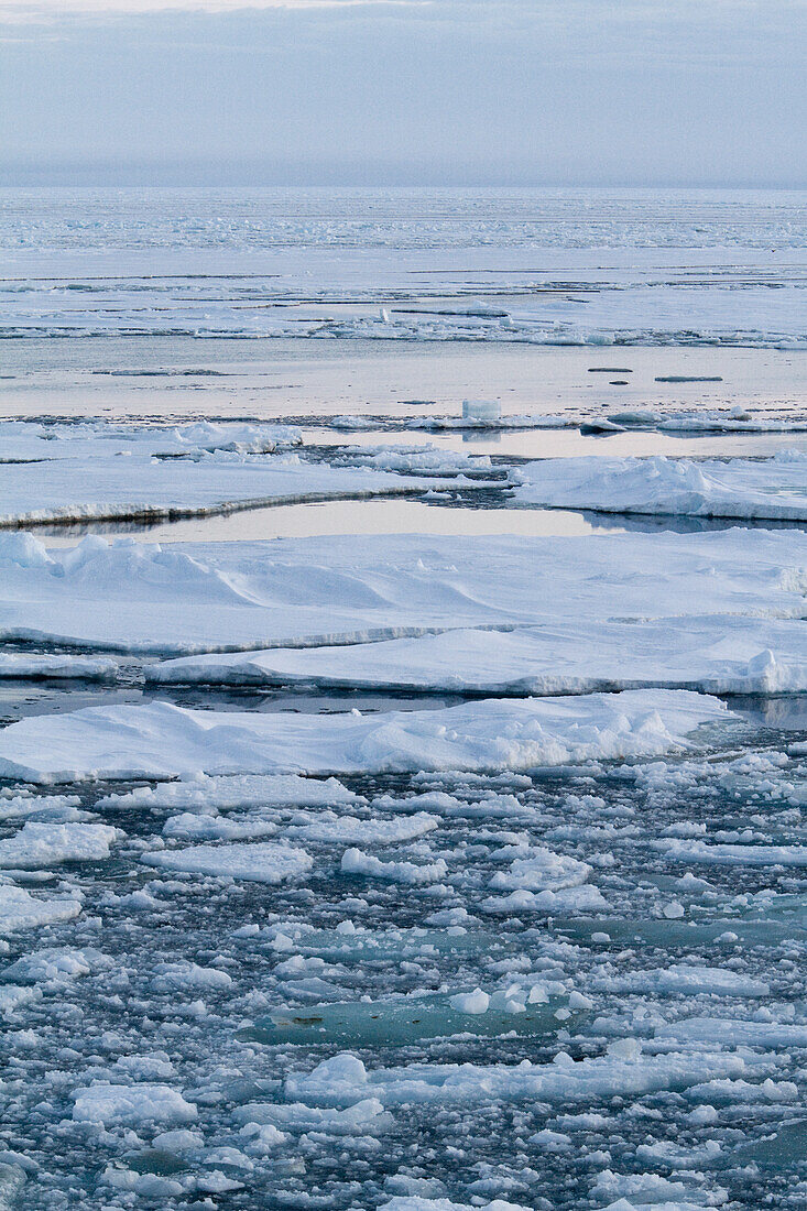 Pack Ice Off The West Coast Of Greenland.