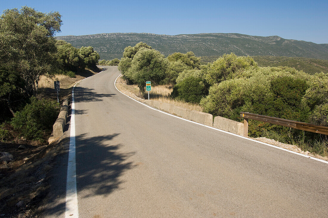 Spanien,Straße verschwindet in lokaler Landschaft,Andalusien