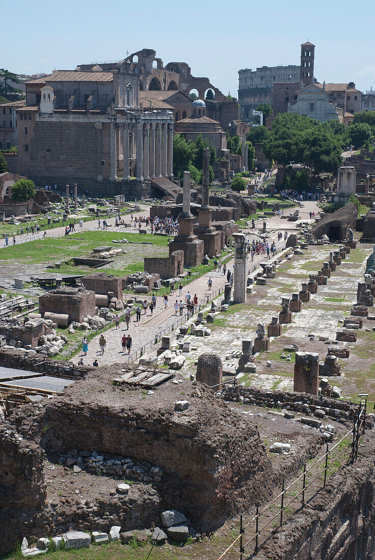 Italy,Roman Forum (Forum Magnum),Rome