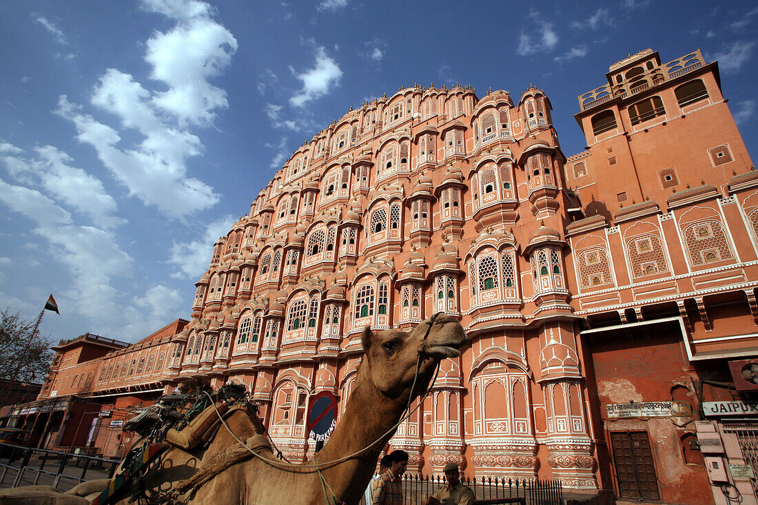 Kamelkarren vor dem Stadtpalast Hawa Mahal, dem Wahrzeichen von Jaipur, Bundesstaat Rajasthan, Indien.