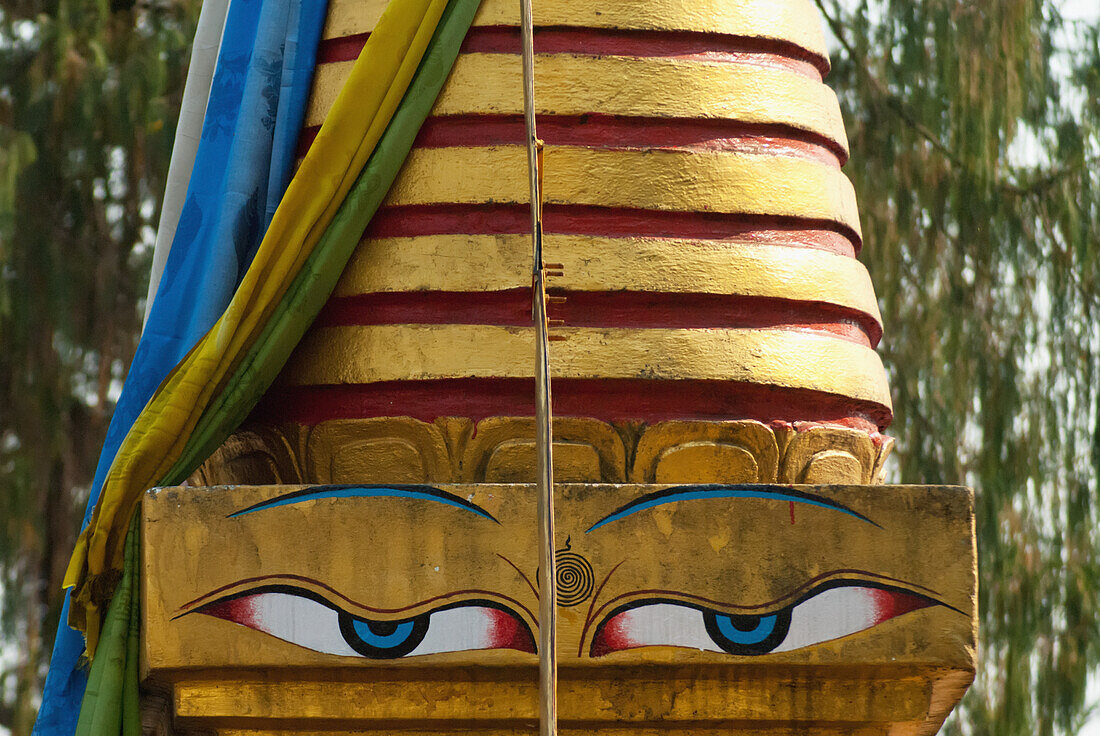 India,West Sikkim,Buddha eyes on stupa belonging to Choki Lodro at Tashiding Monastery,Tashiding Monastery