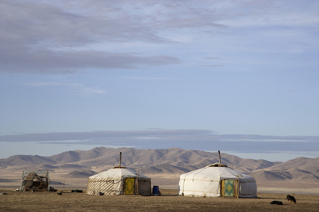 Gers And Steppe Near Karkhorin,Mongolia