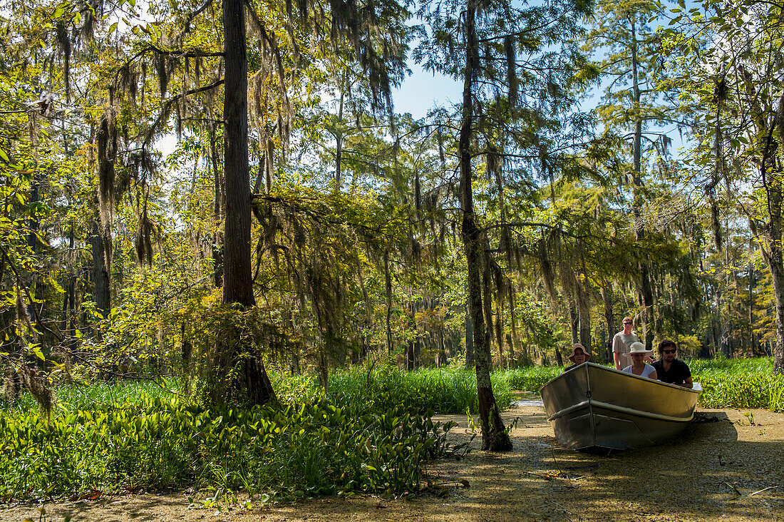 USA,Louisiana,Tourboat in swamps,Breaux Bridge