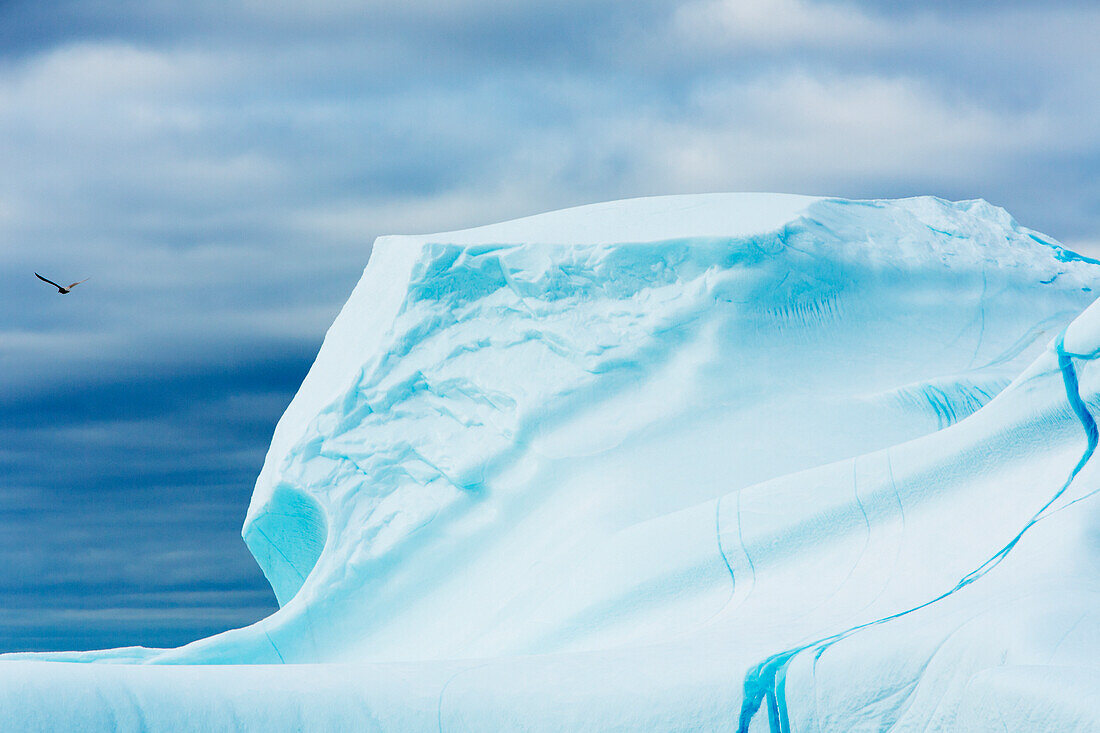 Blaues Eis eines Eisbergs vor der Westküste, Grönland