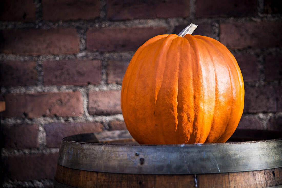 Denmark,Close-up of Pumpkin,Copenhagen