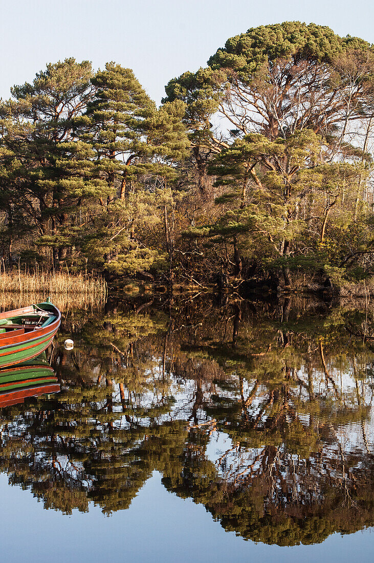 Reflections in Lough Leane,Killarney National Park,County Kerry,Ireland,UK