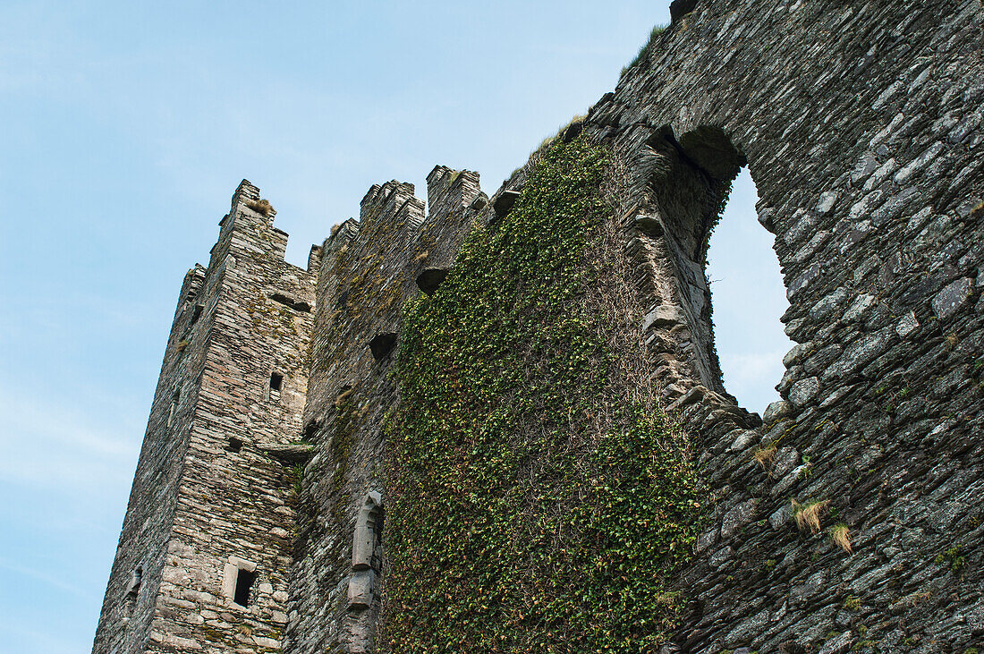 Ballycarbery Castle on Ring of Kerry,Cahersiveen,Iveragh Peninsula,County Kerry,Ireland,UK