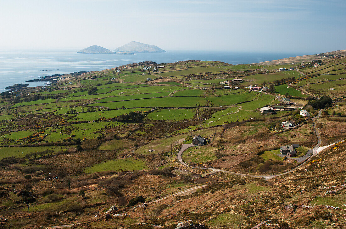 Blick über Felder oberhalb von Derrynane, Iveragh Peninsula, County Kerry, Irland, UK