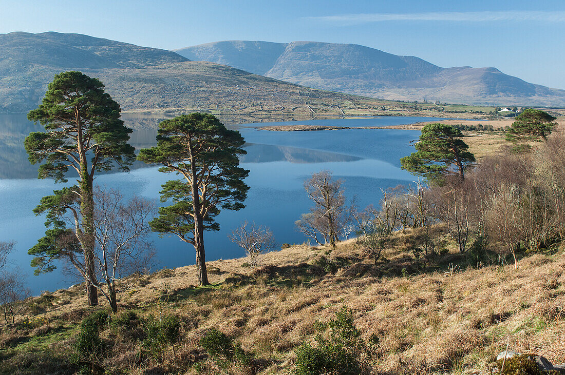 Cloonaghlin Lough,Iveragh Peninsula,County Kerry,Ireland,UK