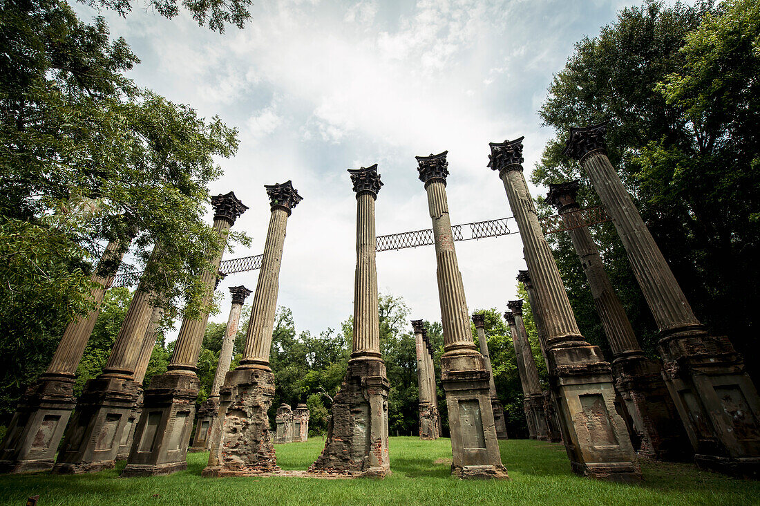 USA,Columns in Windsor Ruins,Mississippi