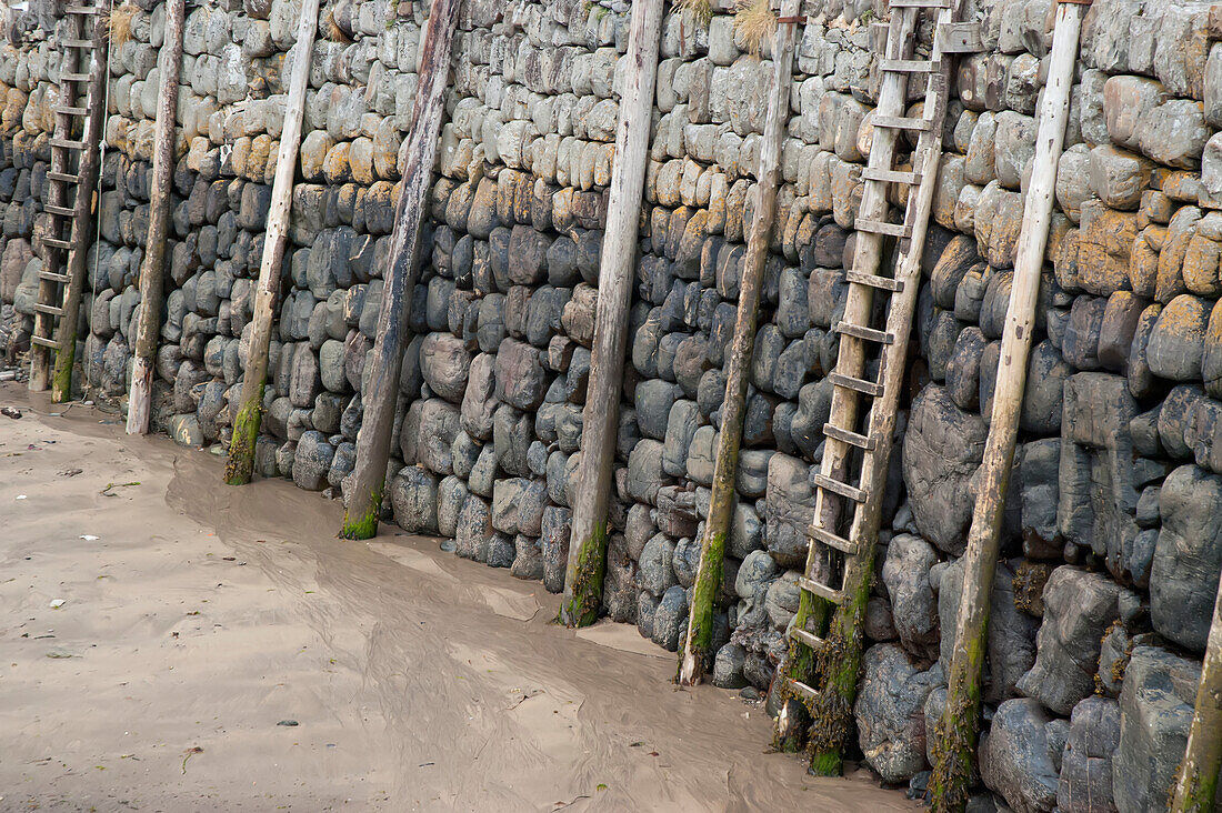 UK,North Devon,Holzleitern und Pfeiler im Hafen bei Ebbe,Clovelly