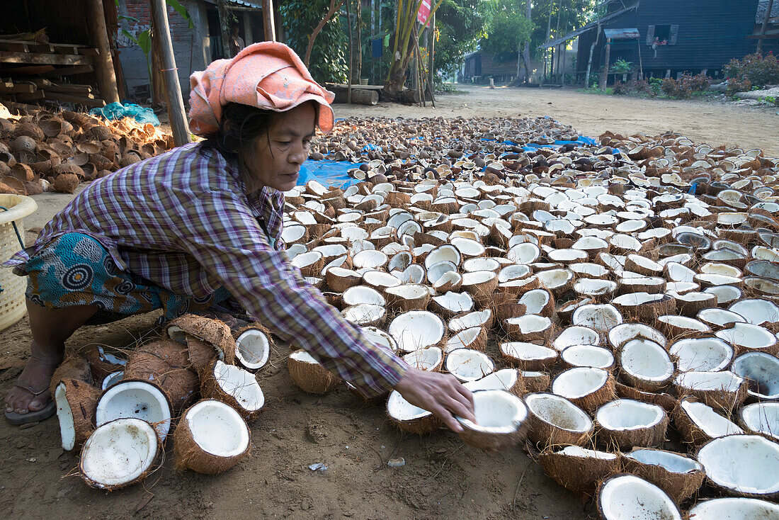 Myanmar (Burma),Irrawaddyi division,Woman sorting coconuts