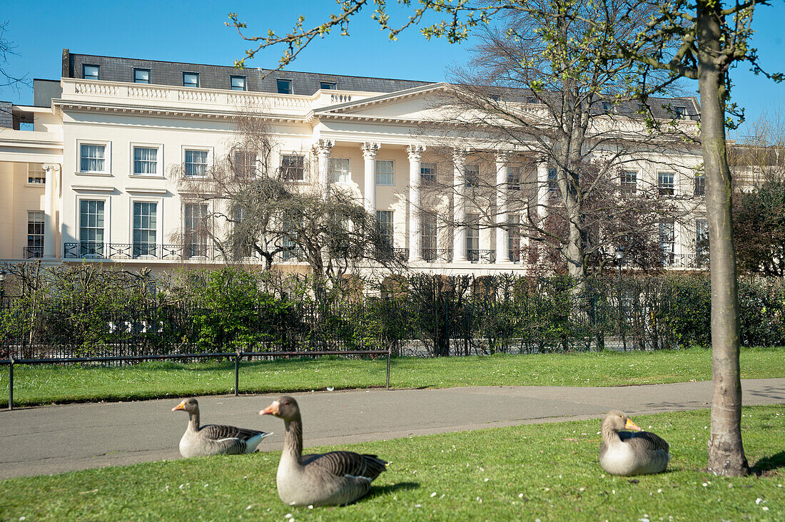 Vereinigtes Königreich,England,John Nash Architektur um Regents Park,London