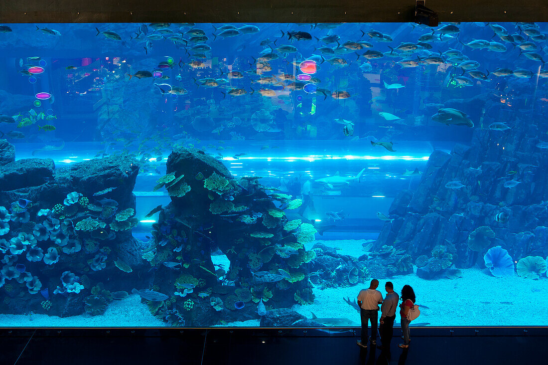People Looking In Large Window,Dubai Mall Aquarium,Dubai,United Arab Emirates