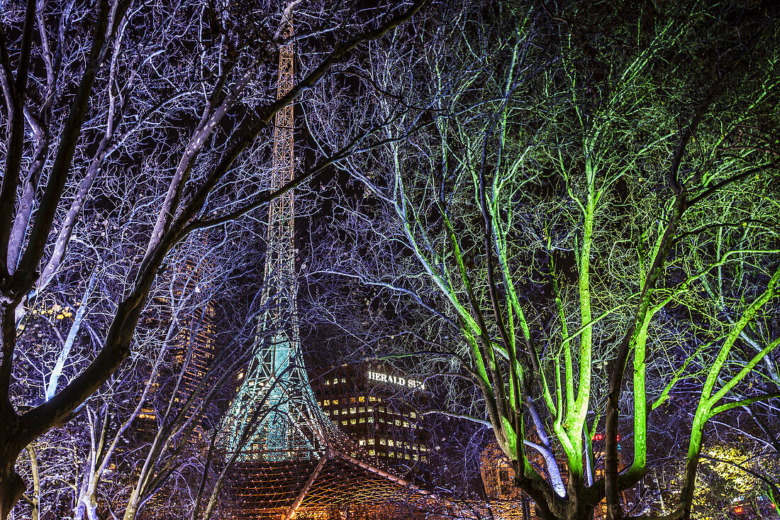 Australia,Victoria,Bare tree in front of Melbourne Arts centre,Melbourne