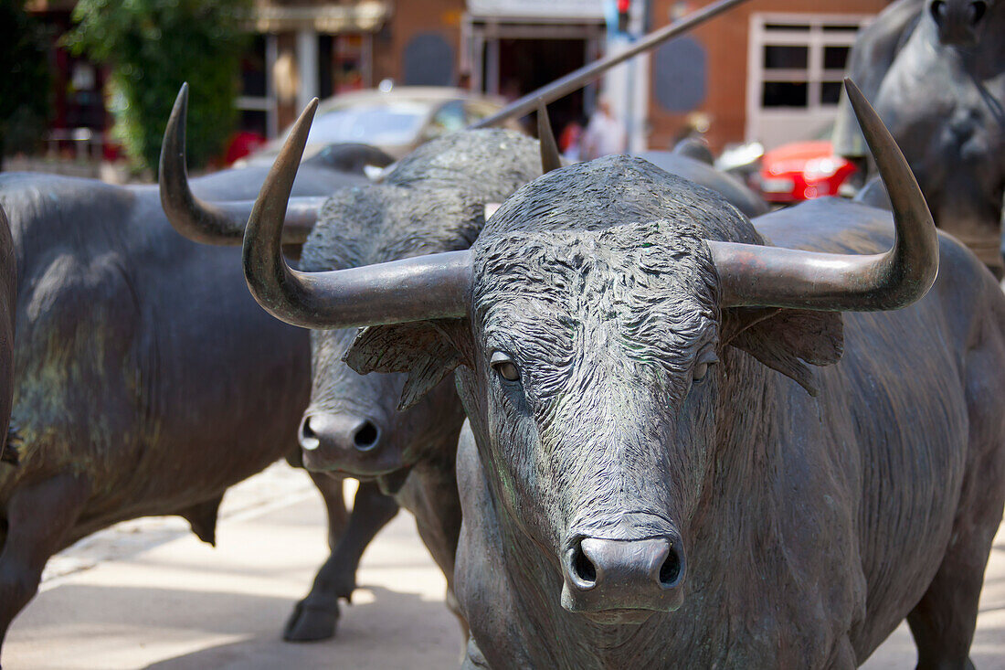Spain,Bull Sculptures,Alicante