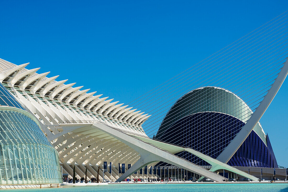 Detail von El Museu De Les Ciencies Principe Felipe mit El Pont De L'assut De L'or und L'agora auf der rechten Seite in der Stadt der Künste und Wissenschaften, Valencia, Spanien