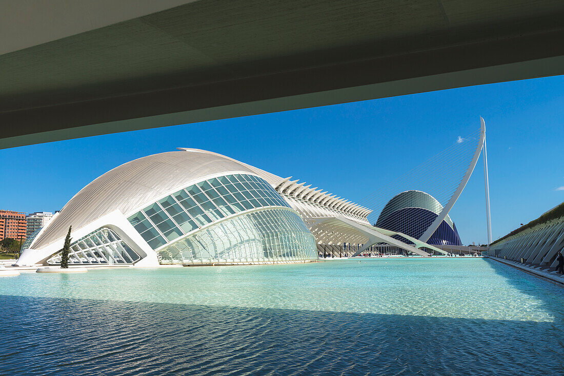 Blick über den Pool in der Ciudad De Las Artes Y Las Ciencias (Stadt der Künste und Wissenschaften), Valencia, Spanien