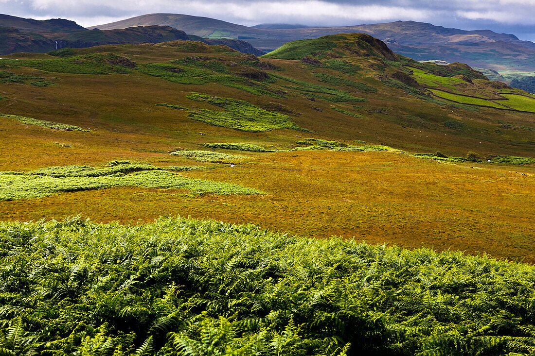 View Of Hills Of Western Lake District,Cumbria,England,Uk