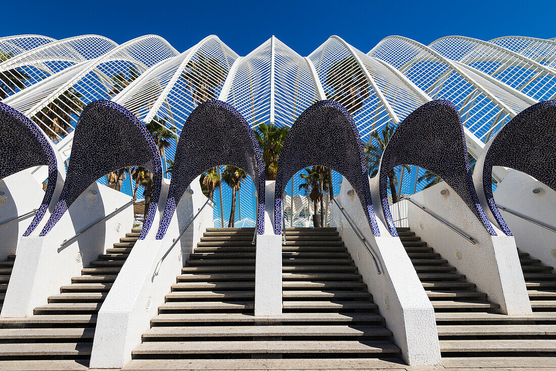 Blick auf Regenschirm und Bäume in der Ciudad De Las Artes Y Las Ciencias (Stadt der Künste und Wissenschaften), Valencia, Spanien