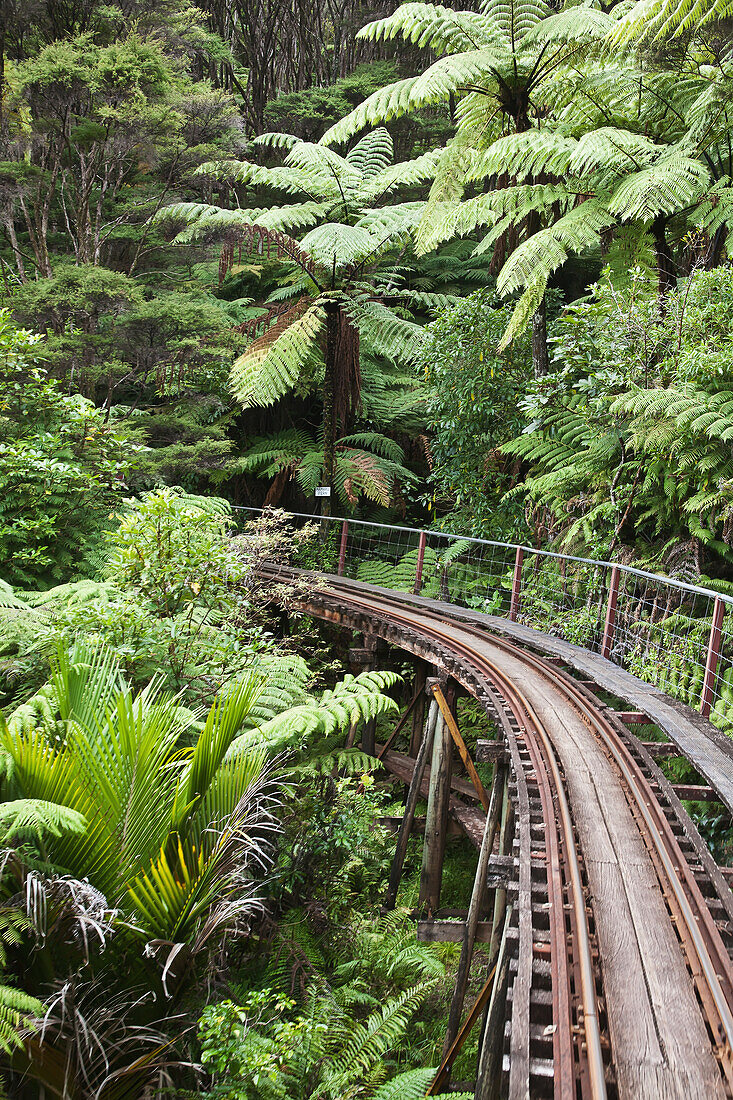 Schmales Eisenbahngleis im Wald, Neuseeland