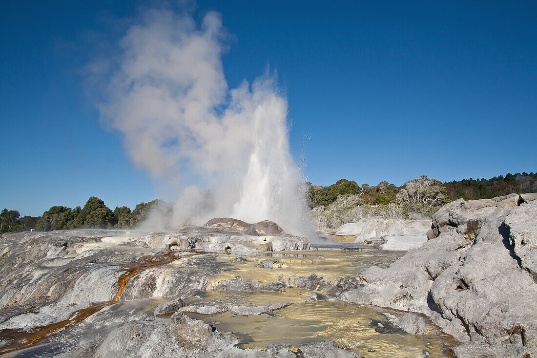 Rainbow Over Geyser,New Zealand