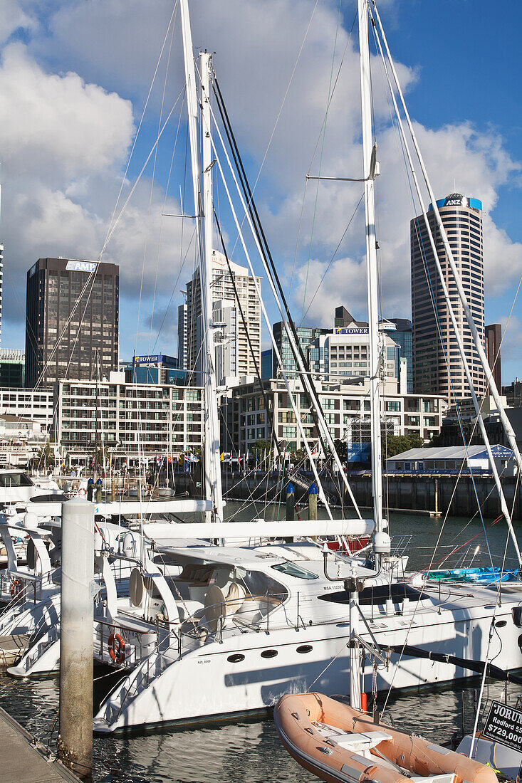 Harbour,New Zealand