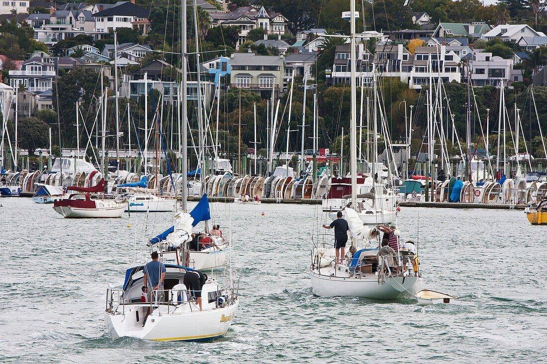 Yachts In Harbor,New Zealand