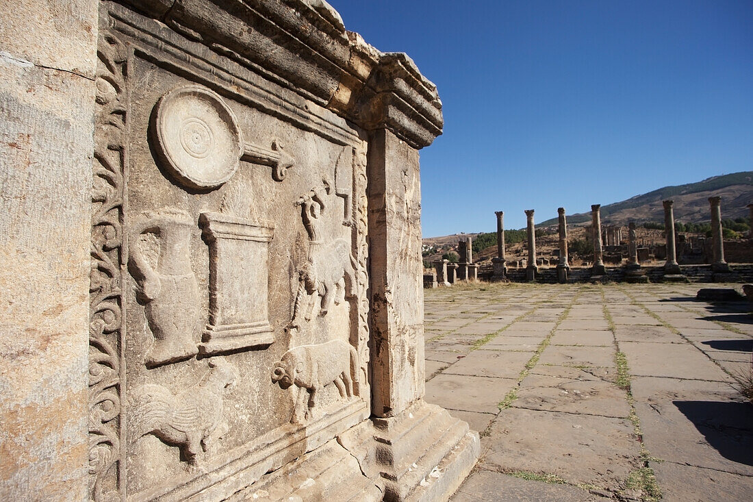 Römische Ruinen des Alten Forums,Djemila,Algerien