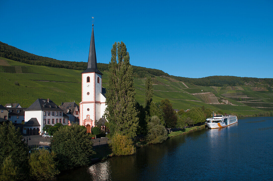 Mosel Valley,Piesport,Rhineland-Palatinate,Germany