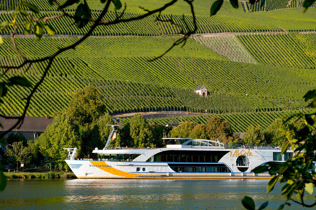 Vineyards And A Boat In The River In Mosel Valley,Piesport,Rhineland-Palatinate,Germany