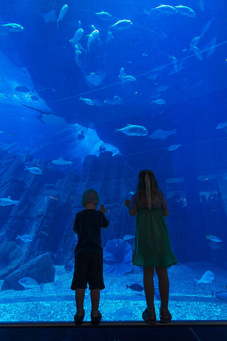Junge und Mädchen schauen in das riesige Aquarium in der Dubai Mall, Dubai, Vereinigte Arabische Emirate